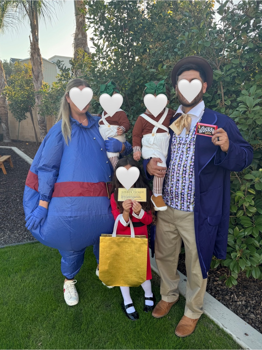Willy Wonka & Violet Beauregarde Costume